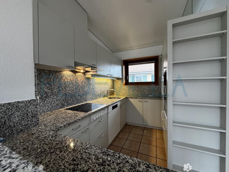 3.5 Duplexwohnung nähe Stadtpark (3)