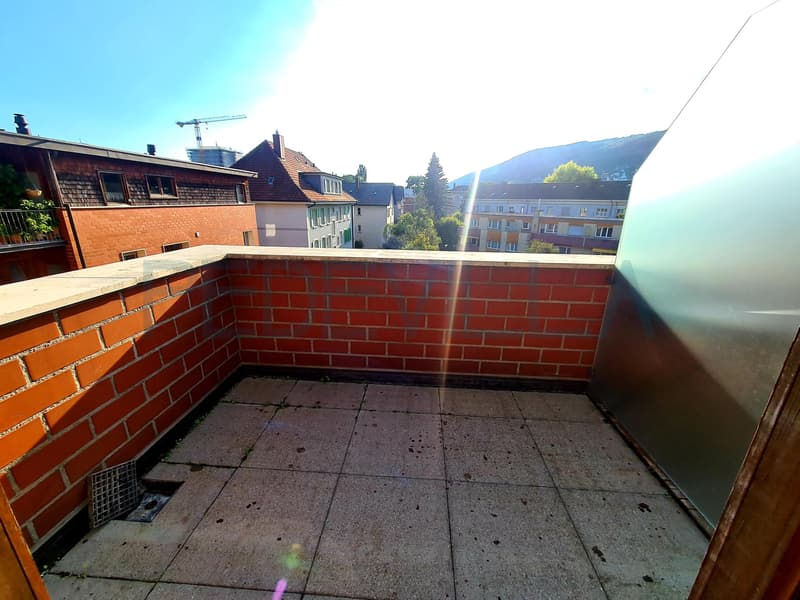 3.5 Duplexwohnung nähe Stadtpark (10)