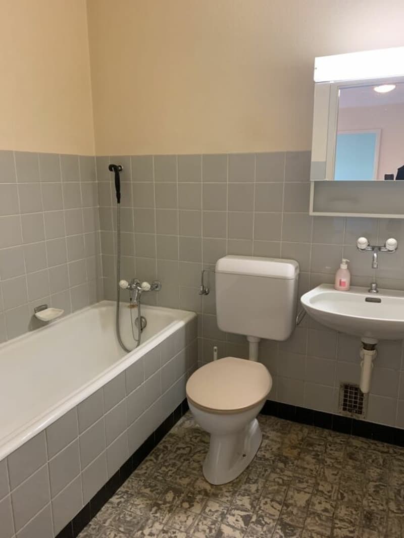 2-room apartment in a beautiful green setting (8)