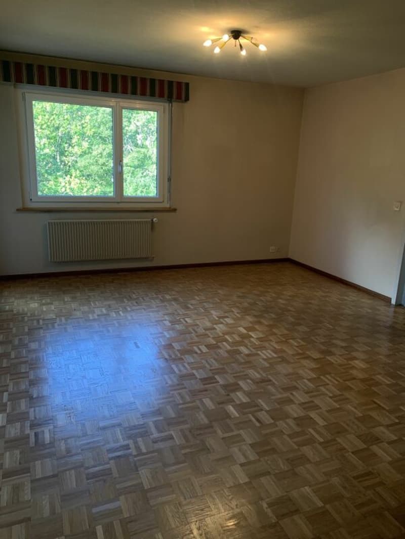 2-room apartment in a beautiful green setting (4)
