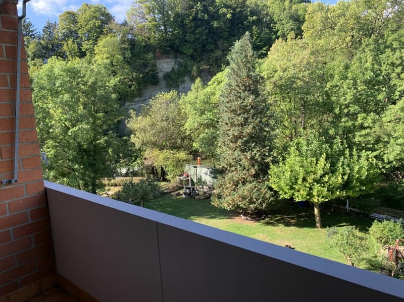 2-room apartment in a beautiful green setting (2)