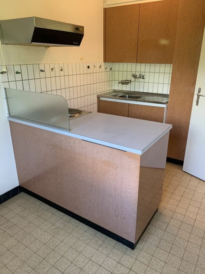 2-room apartment in a beautiful green setting (7)
