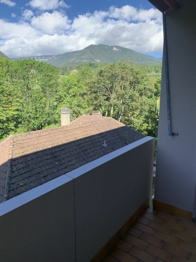 2-room apartment in a beautiful green setting (3)