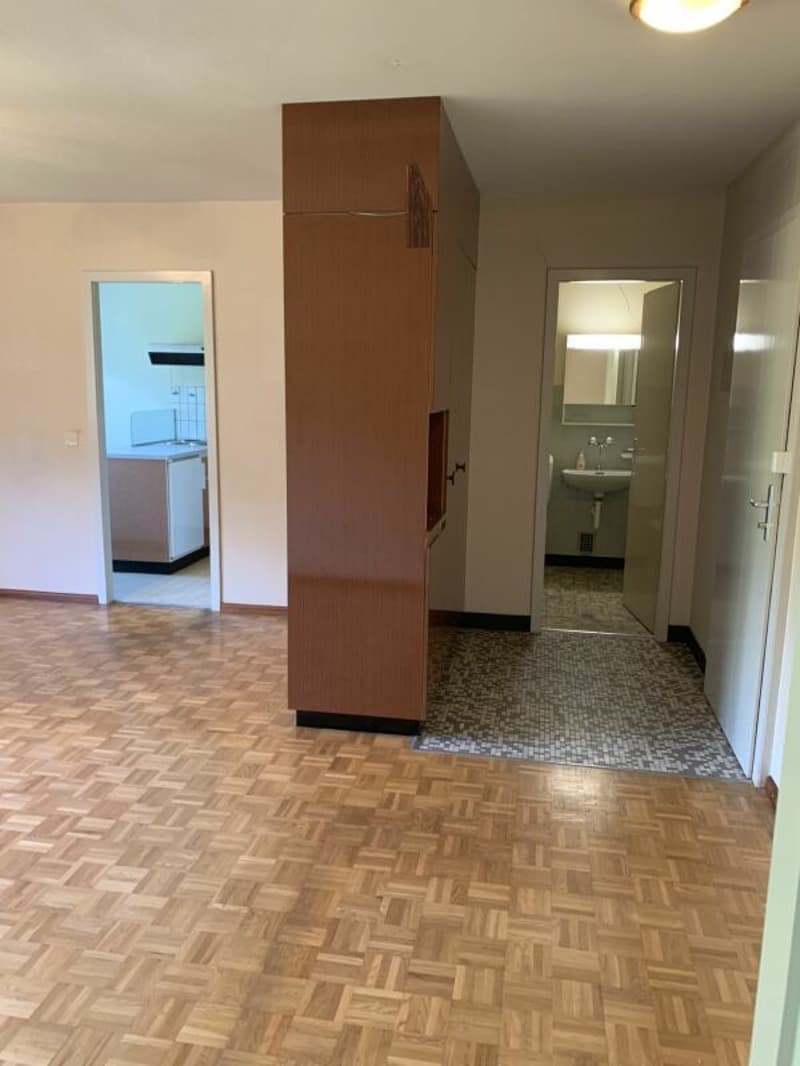 2-room apartment in a beautiful green setting (6)