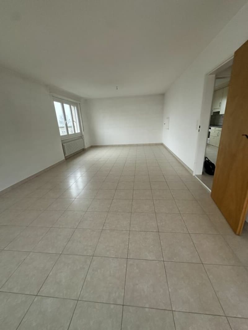 In affitto un bel appartamento di 4,5 locali con balcone, in un quartiere tranquillo (3)