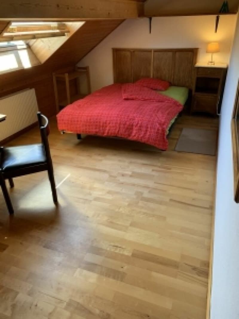 Co-location - Pretty room in a beautiful house close to the lake (2)