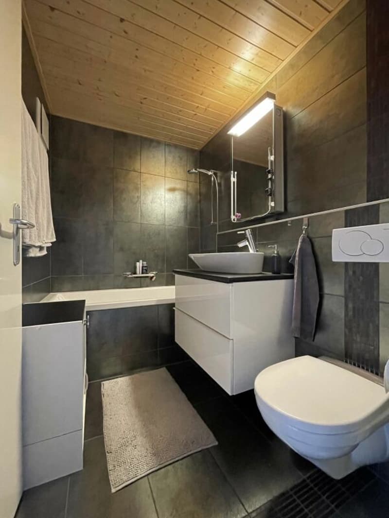 Appartement duplex en attique de 5,5 pièces dans un écrin de verdure (16)