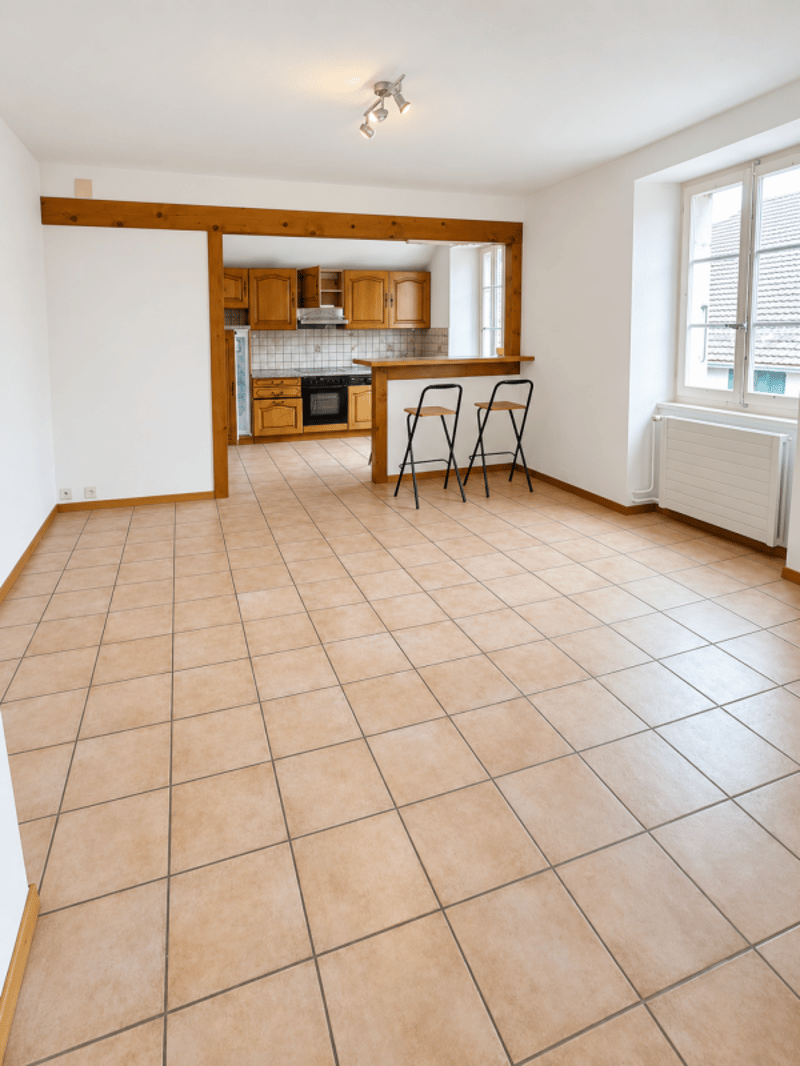 Appartement 3 pièces avec grand séjour et jardin commun à Fontaines (1)