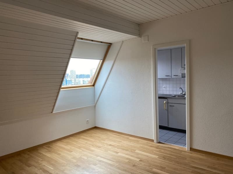 Appartement Fribourg - 2 pièce (2)