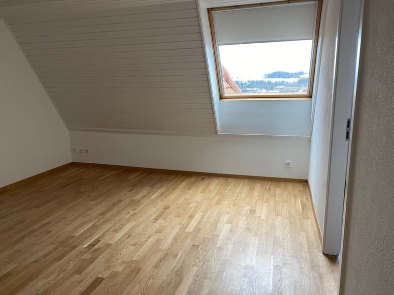 Appartement Fribourg - 2 pièce (1)