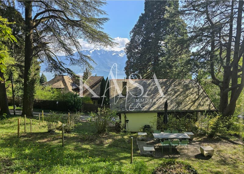 Beau jardin avec terrasse en lisière de forêt