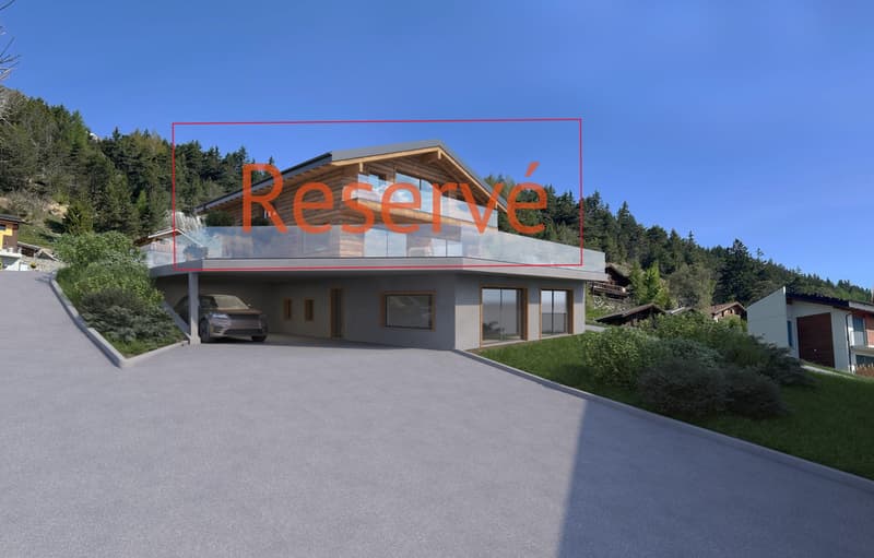 Magnificent 5.5-room duplex of 190 m² (1)