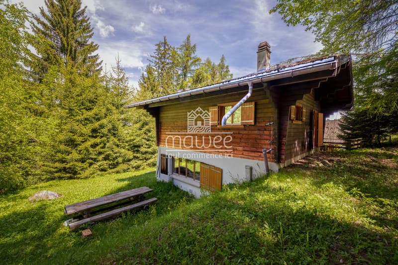 Cozy chalet in La Tzoumaz, nature and tranquility! (12)