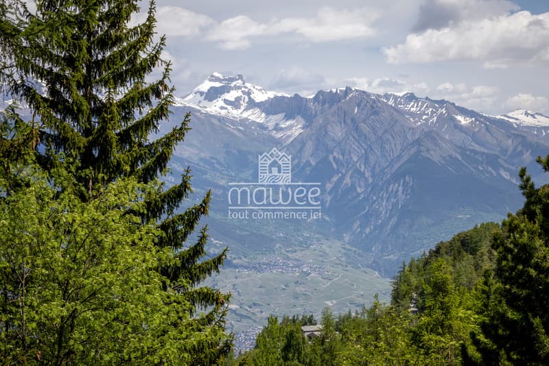 Cozy chalet in La Tzoumaz, nature and tranquility! (10)