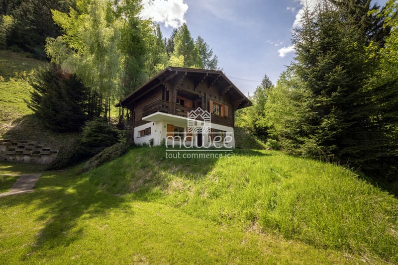 Cozy chalet in La Tzoumaz, nature and tranquility! (11)