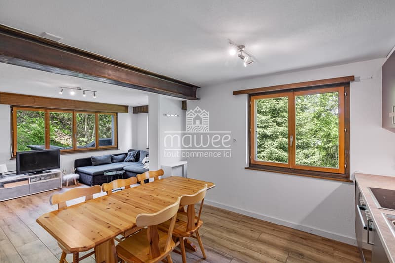 Cozy chalet in La Tzoumaz, nature and tranquility! (5)