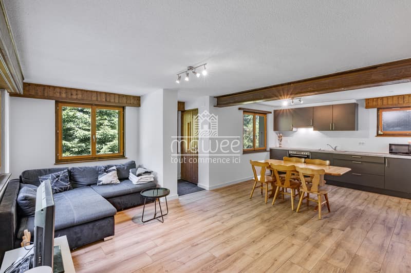 Cozy chalet in La Tzoumaz, nature and tranquility! (1)