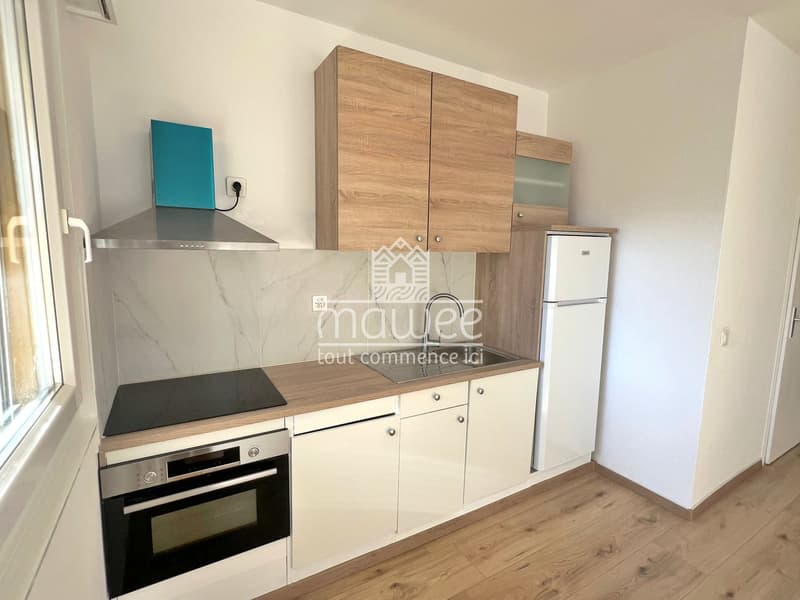 Exceptional location 2.5 rooms renovated -- 5 minutes from the Lake! (5)