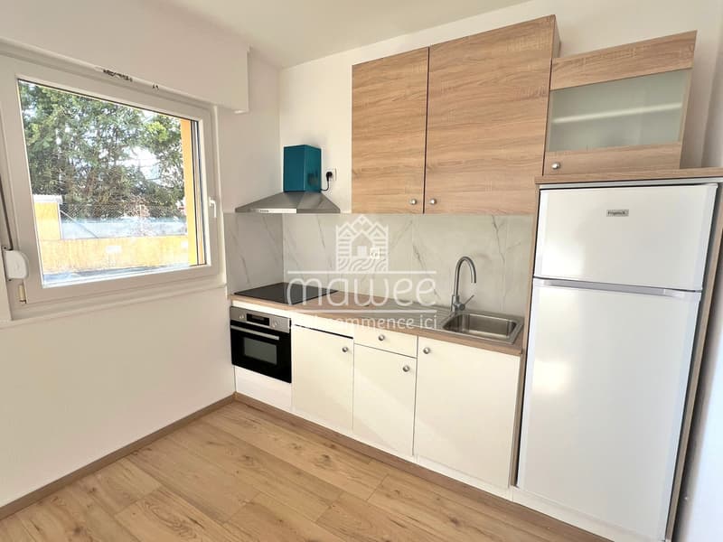 Exceptional location 2.5 rooms renovated -- 5 minutes from the Lake! (4)