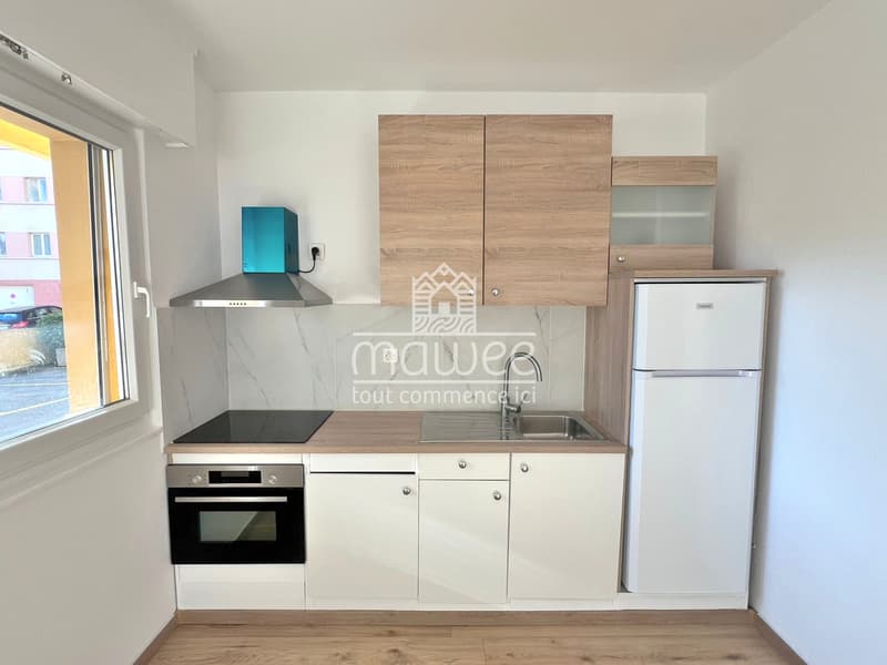 Exceptional location 2.5 rooms renovated -- 5 minutes from the Lake! (3)
