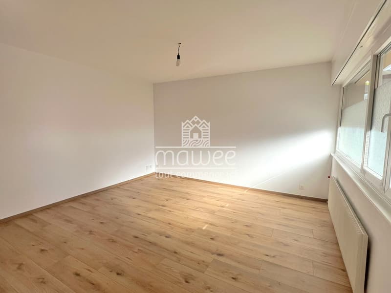 Exceptional location 2.5 rooms renovated -- 5 minutes from the Lake! (1)
