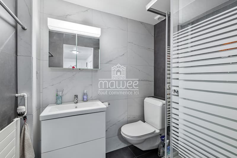 Two-and-a-half-room apartment with an exceptional panoramic terrace! (10)