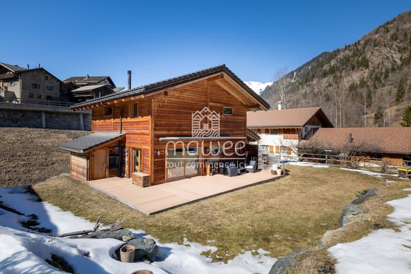The charm of Val de Bagnes in a setting of tranquility and nature (2)