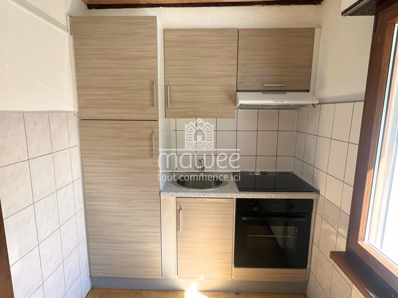 Special investor - 2.5 rooms NET RETURN 4.7% !!!! (7)
