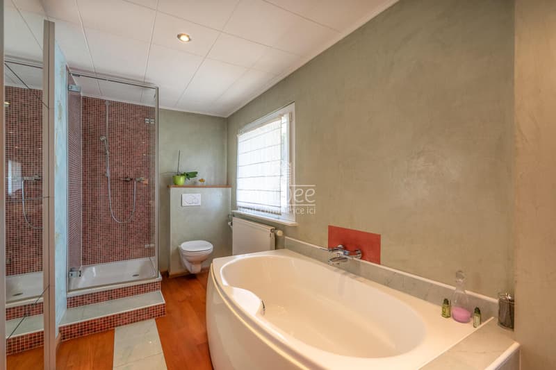 Character property with breathtaking views of the lake! (11)