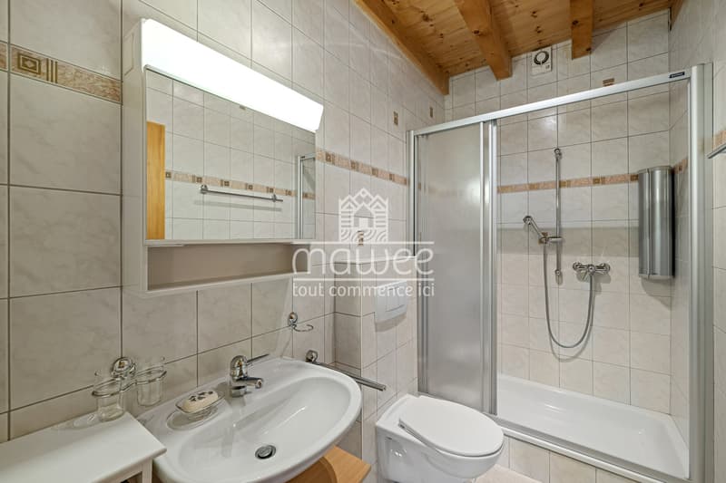 Opportunité rare - chalet avec studio en résidence secondaire ! (12)