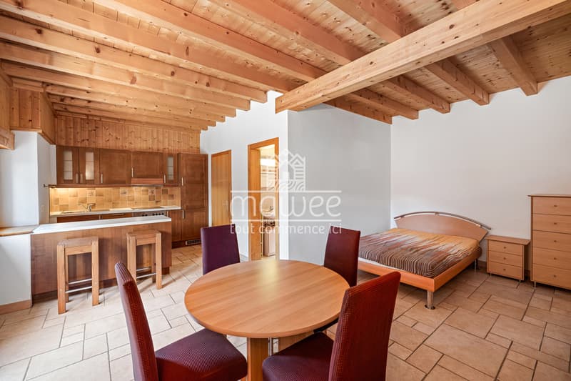 Opportunité rare - chalet avec studio en résidence secondaire ! (10)