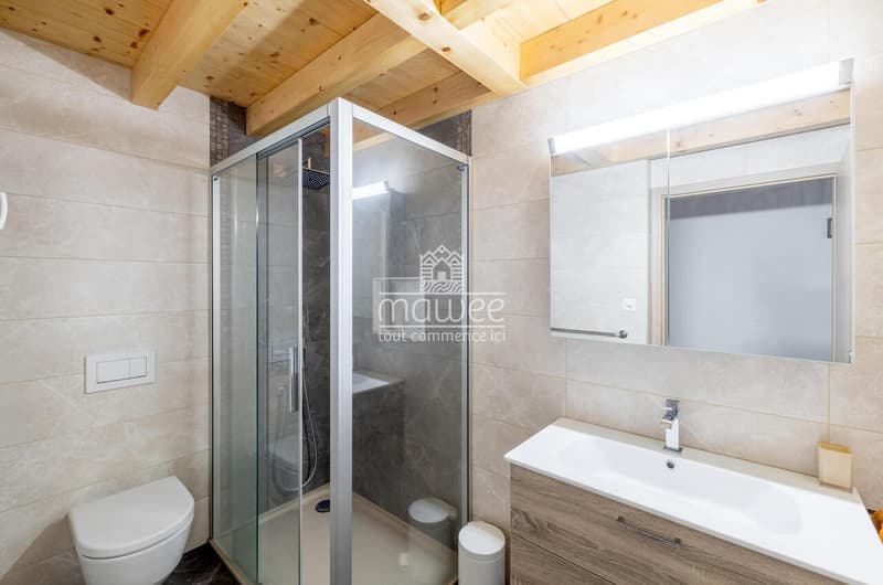 Superbe 4.5 pièces avec mezzanine - Confort, volumes et tranquillité (7)