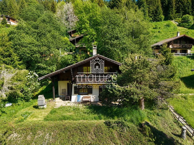 Charmanter Chalet mit 4,5 Zimmern, ideal für eine Zweitwohnung. (1)