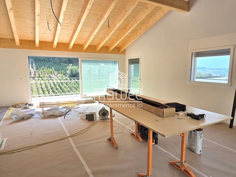 Attique neuf haut de gamme - Résidence intimiste de 2 lots (11)