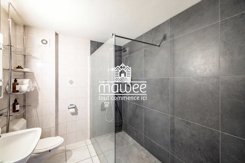 Spacieux appartement de 5.5 pièces (8)