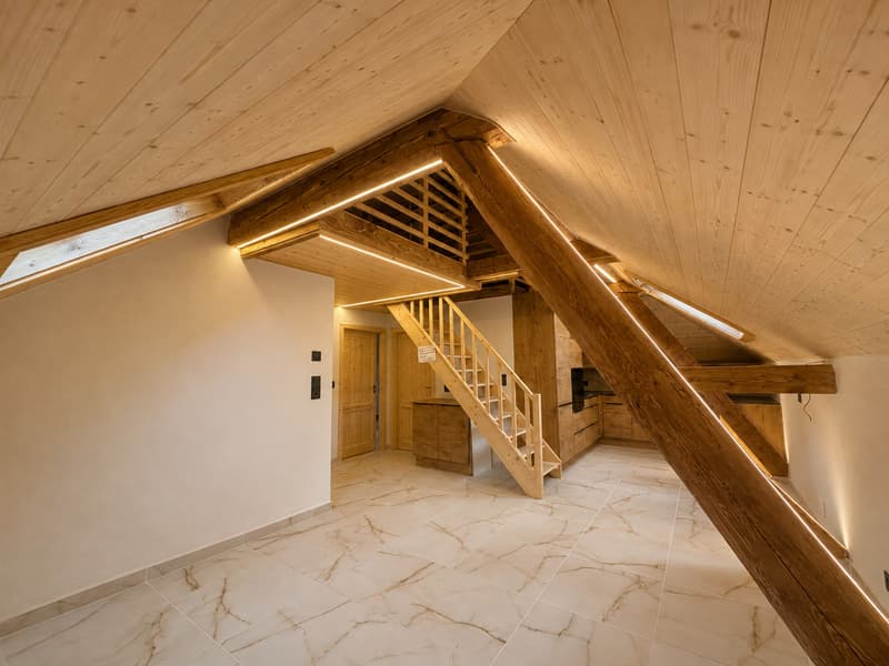 Grand appartement rénové au coeur des Valettes (1)