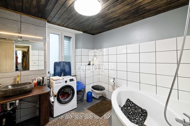 Appartement 4,5 pièces idéalement situé (7)