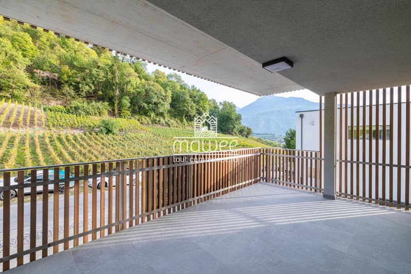 4.5 pièces neuf - Intimité, terrasse et jardin ! (3)