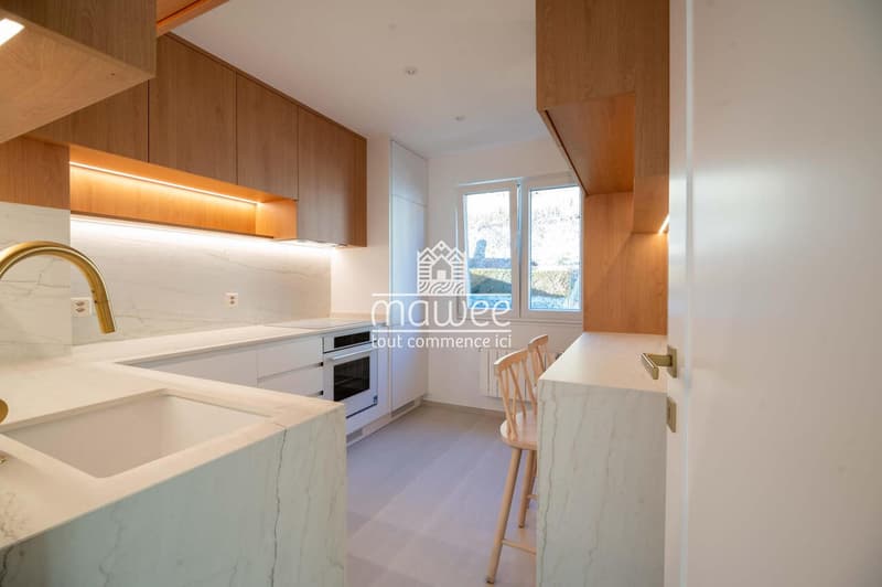 Magnifique appartement entièrement rénové aux finitions haut standing (1)