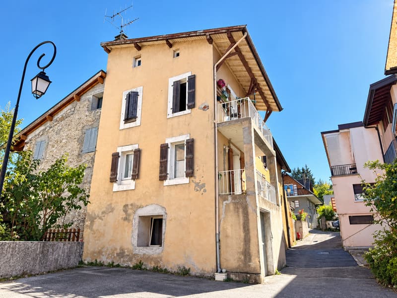 En France Immeuble Parfait Investisseur avec vue sur le lac Léman (1)