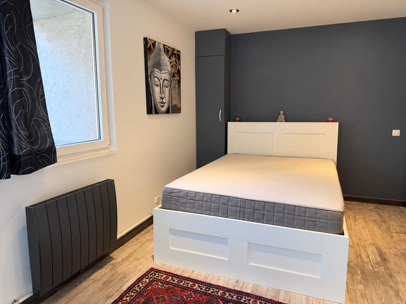 En France Immeuble Parfait Investisseur avec vue sur le lac Léman (5)
