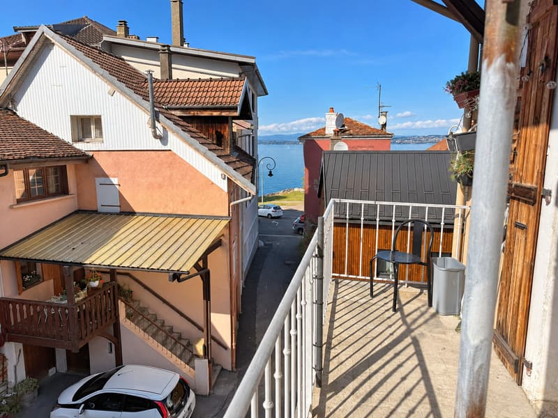 En France Immeuble Parfait Investisseur avec vue sur le lac Léman (2)