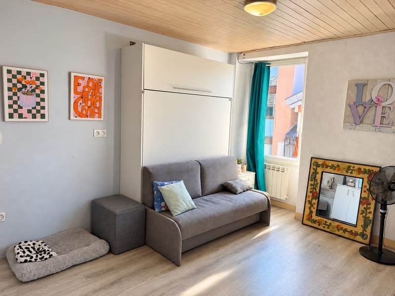 En France Immeuble Parfait Investisseur avec vue sur le lac Léman (8)