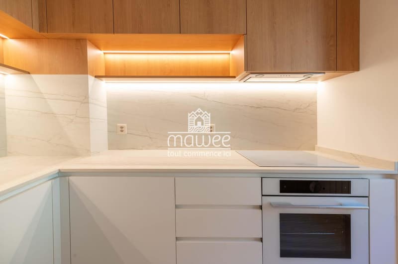 Magnifique appartement entièrement rénové aux finitions haut standing (2)