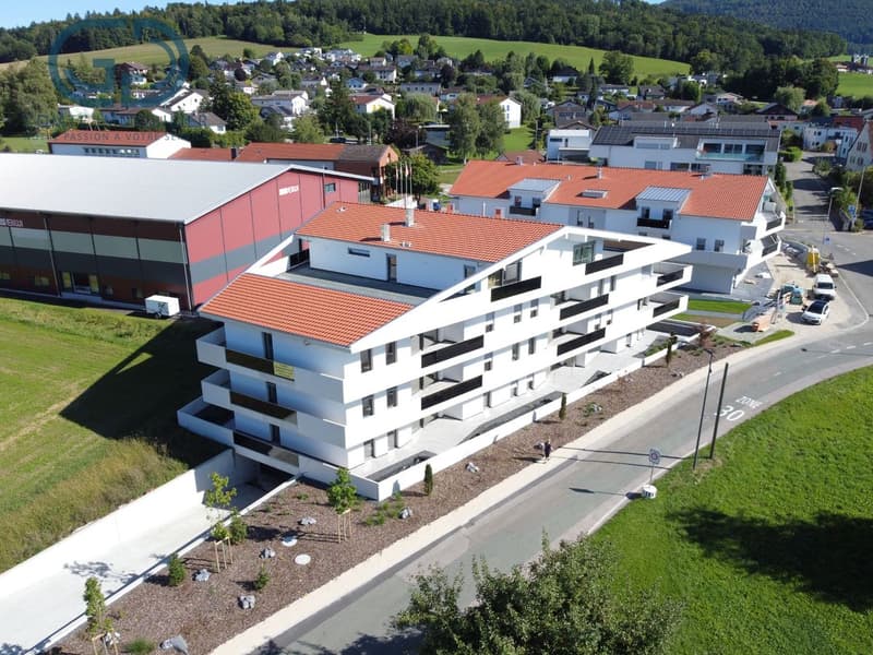 Appartamento nuovo di 3.5 locali con grande terrazza - Alta efficienza energetica (12)