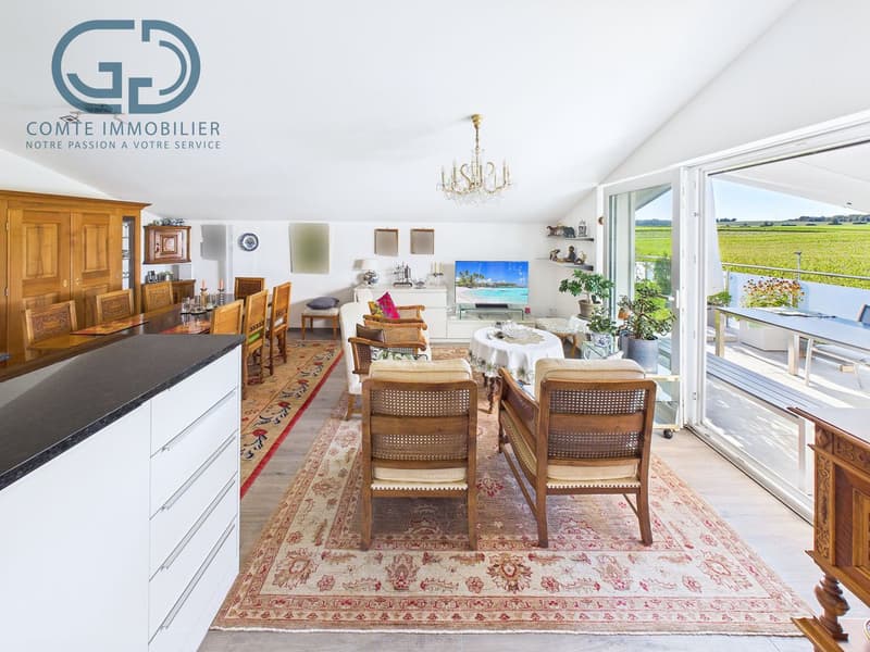 Superb 5.5-room attic apartment with large terrace (4)