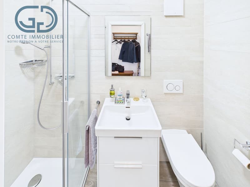 Superb 5.5-room attic apartment with large terrace (9)