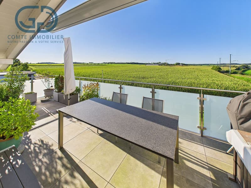 Superb 5.5-room attic apartment with large terrace (1)