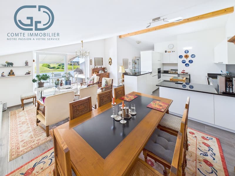 Superb 5.5-room attic apartment with large terrace (2)