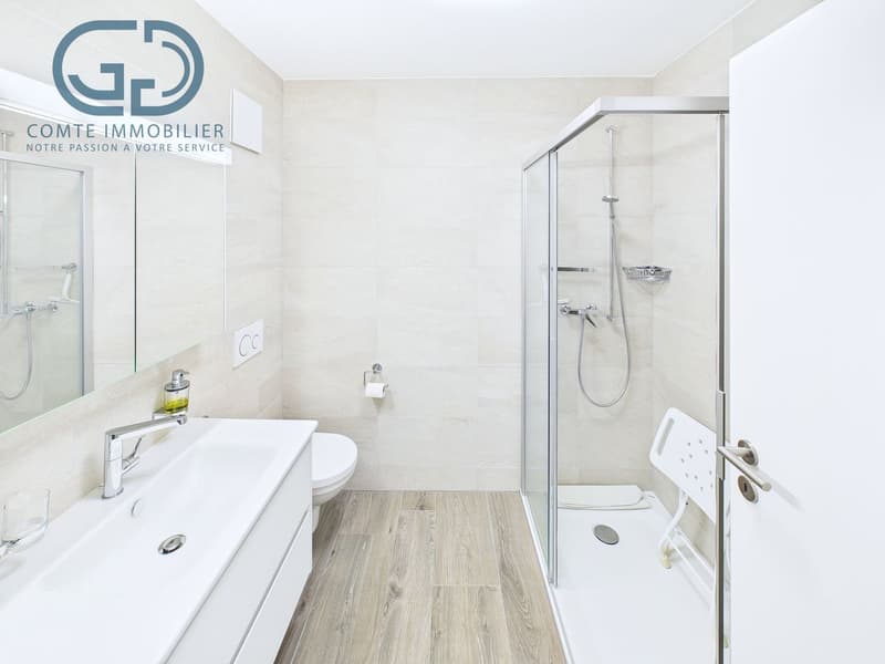 Superb 5.5-room attic apartment with large terrace (7)
